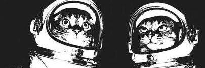 hishaamnajam's profile banner image