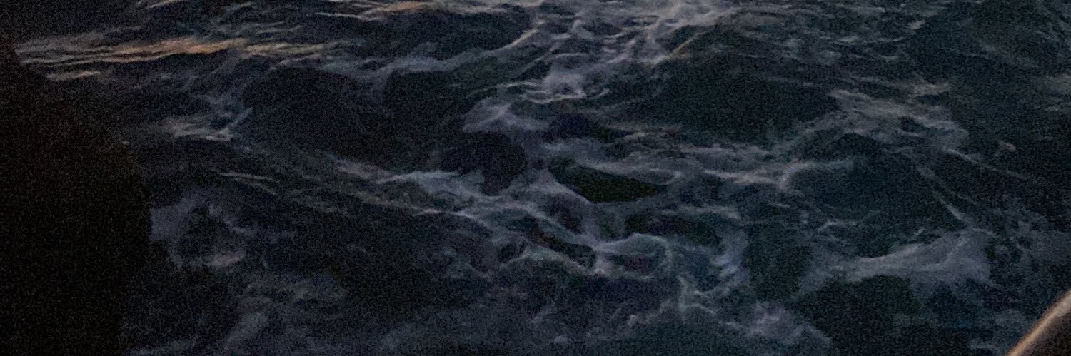 RubySerran0's profile banner image