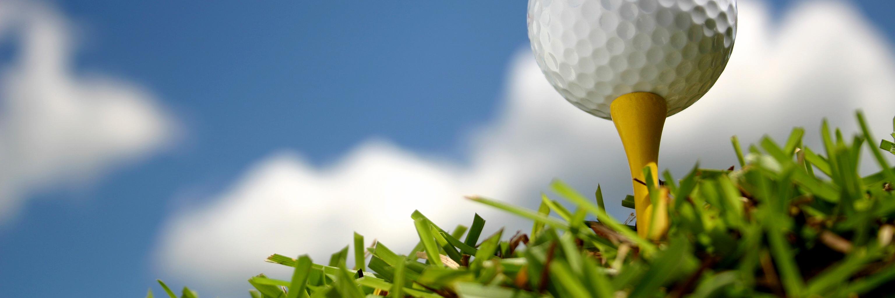 golfbenttree's profile banner image