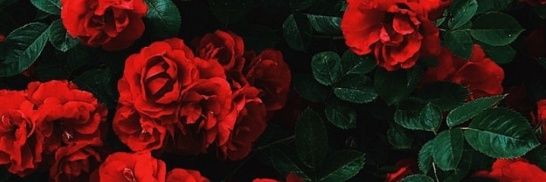 CDS_Jimmy's profile banner image