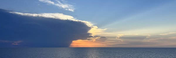 StephSusskind Profile Banner