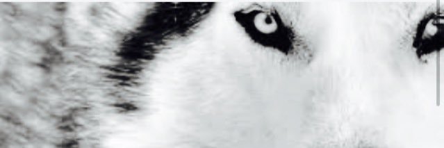 tyree05_tyree's profile banner image