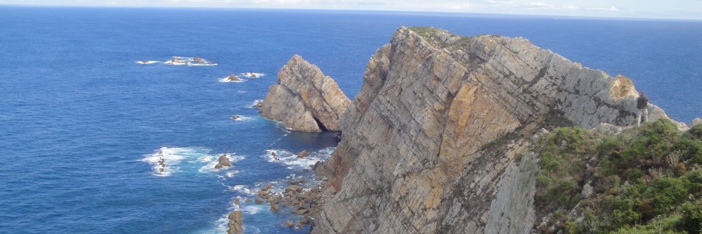 Alejandro Muñoz banner