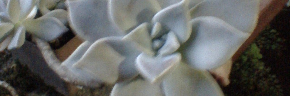 yennyjova's profile banner image