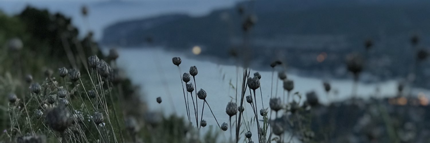 Joris banner