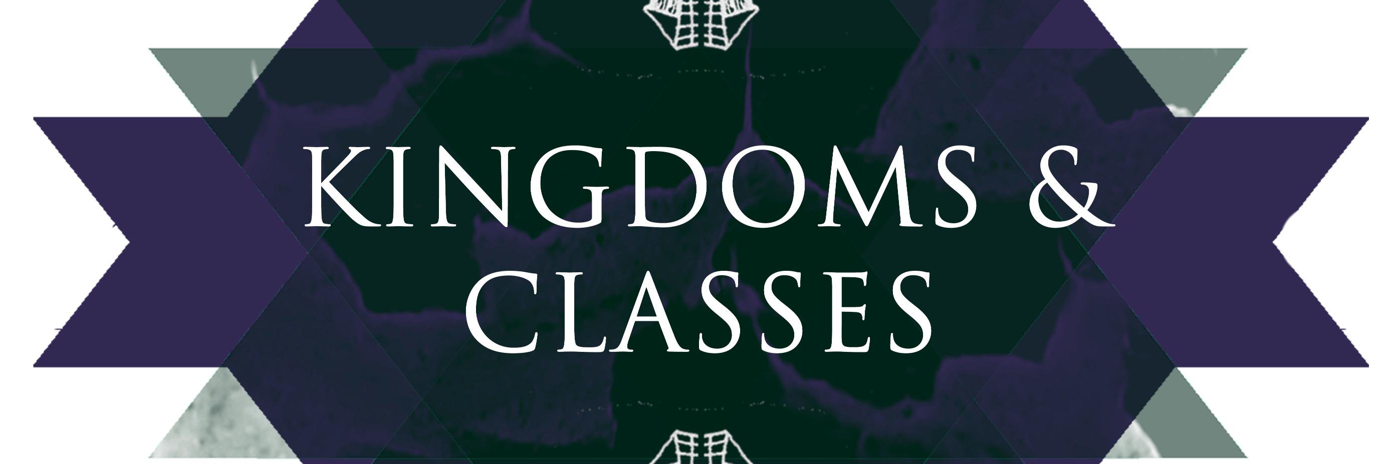 kingdomsclasses's profile banner image