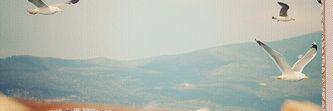 124Lody's profile banner image