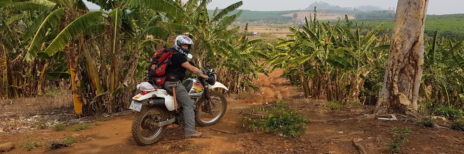 Paula Piilonen banner