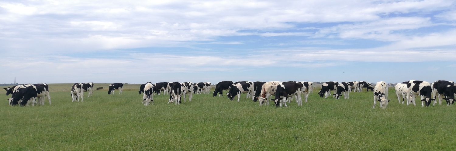bwcarrfarms's profile banner image