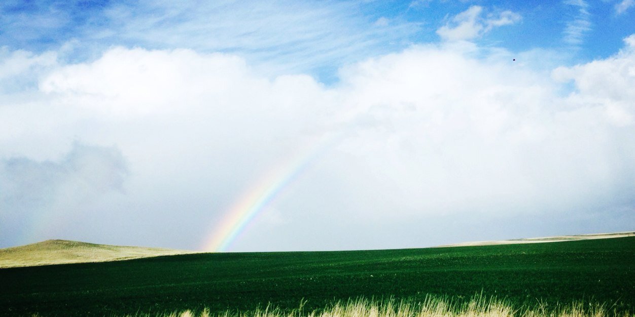 TannerTripp1's profile banner image