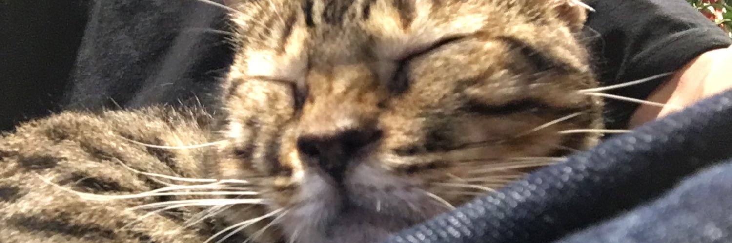ukynd's profile banner image