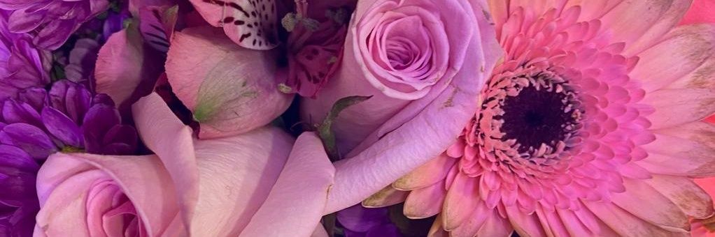 Jennifer Zadravec banner