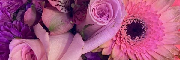 mritech50 Profile Banner