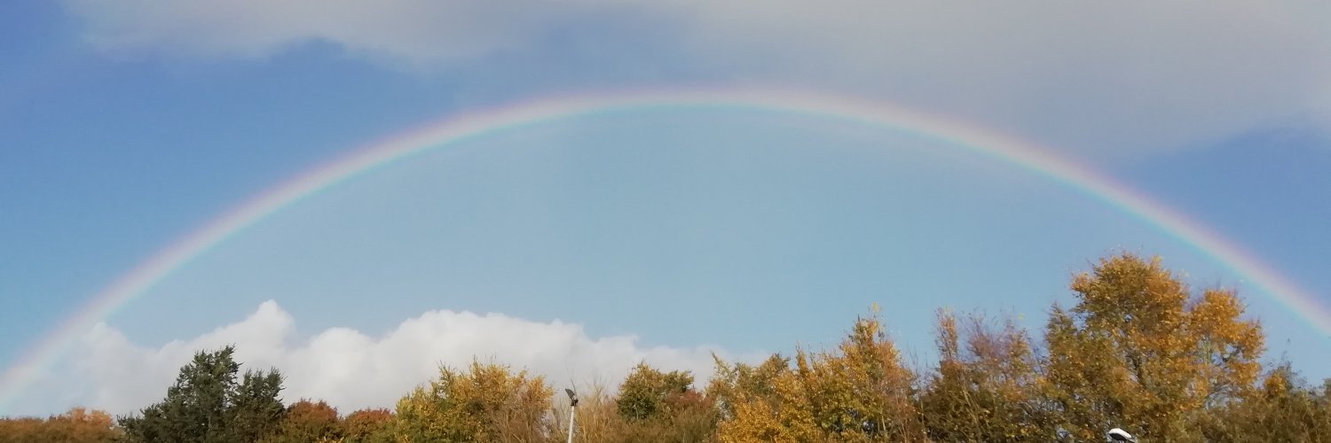 AlishaRobey's profile banner image