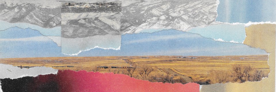 Shira Erlichman's banner
