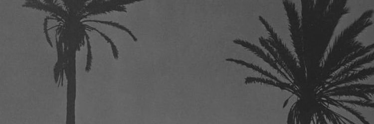 blopez_u's profile banner image