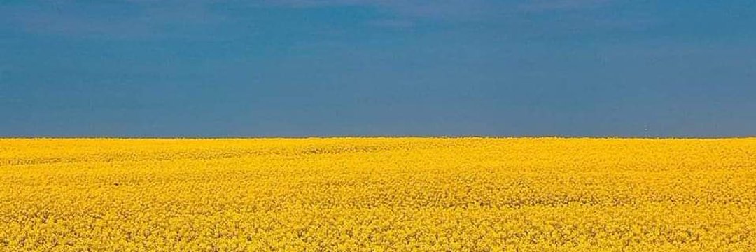 angieheidi's profile banner image