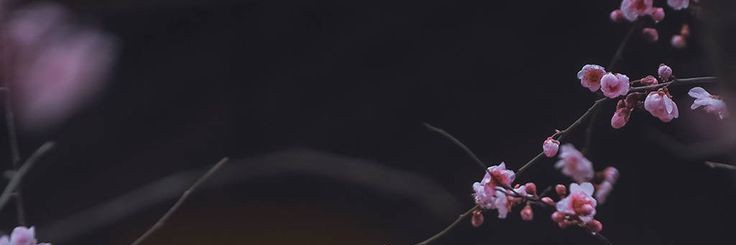 namosz_'s profile banner image