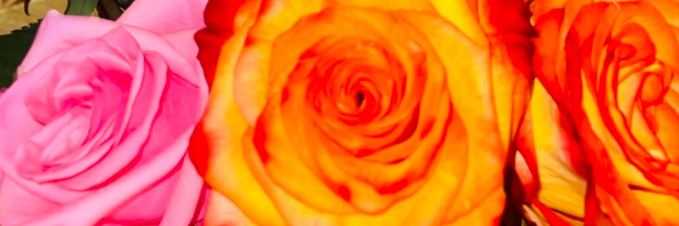 Bee_MON's profile banner image