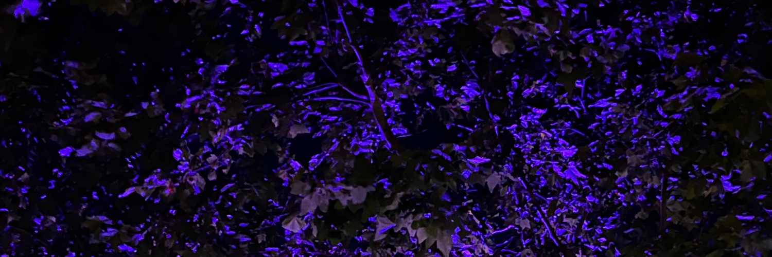 mkashbeatss's profile banner image