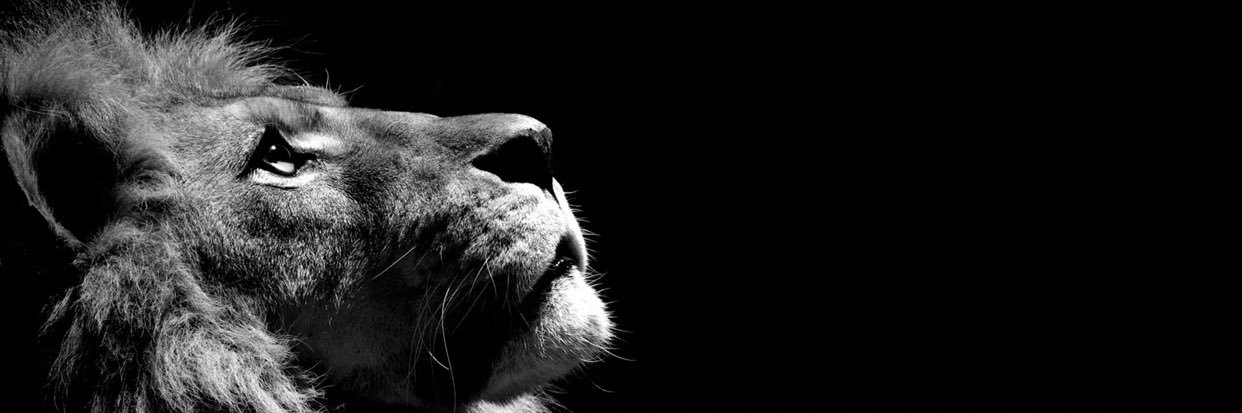 tyreetaylor22's profile banner image