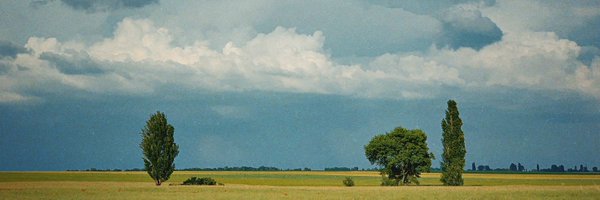 zakhvad Profile Banner