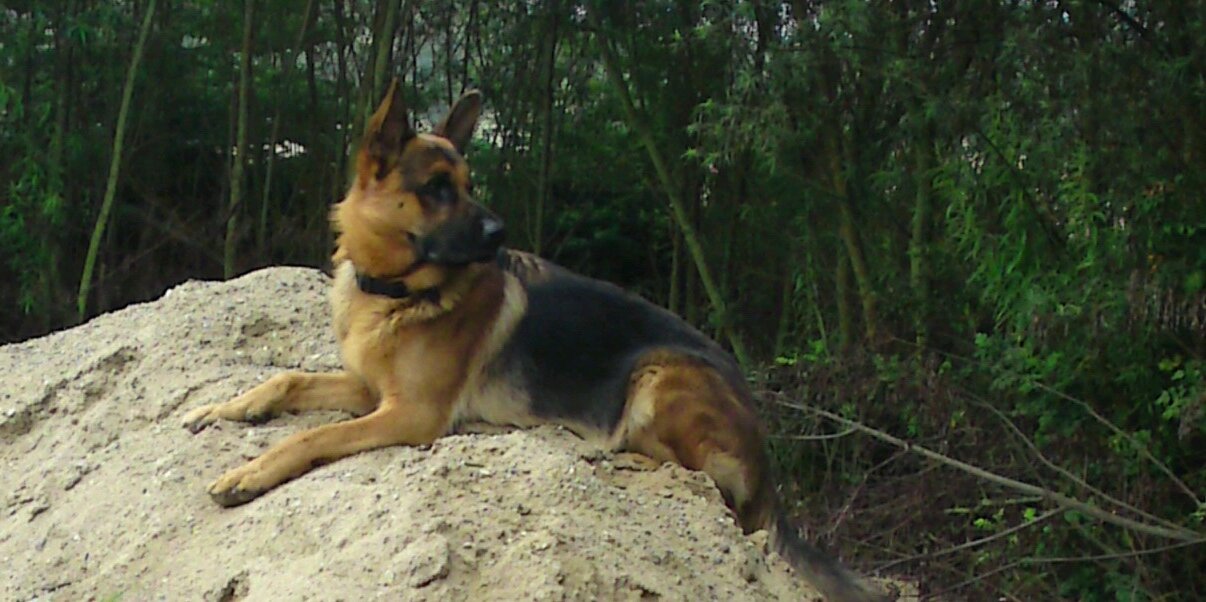 keldgha's profile banner image