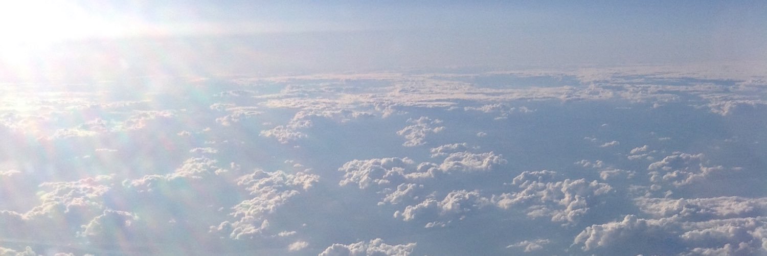 Beverly Velloff banner