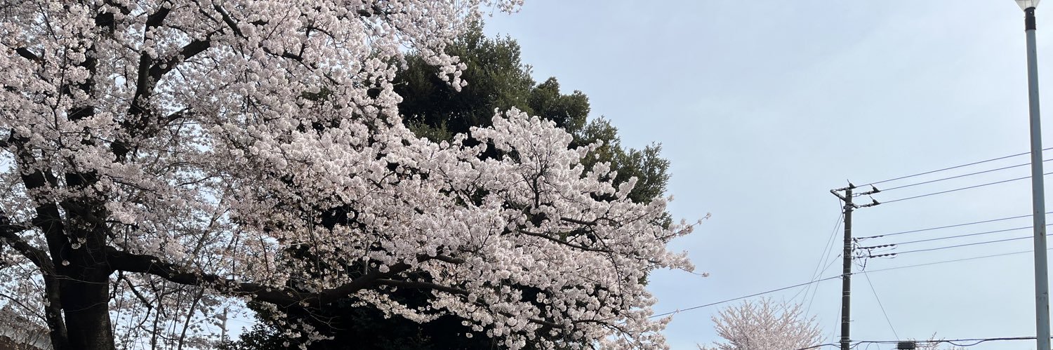 Satoshi_BAGGIO's profile banner image