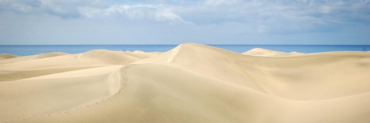 PatrickDumon's profile banner image