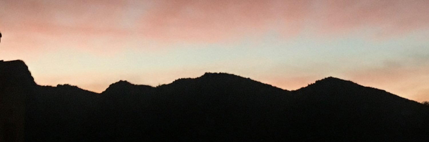 rayn_williams's profile banner image