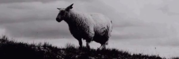 ItsFame_ Profile Banner