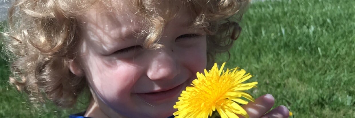 daisy_mackay's profile banner image