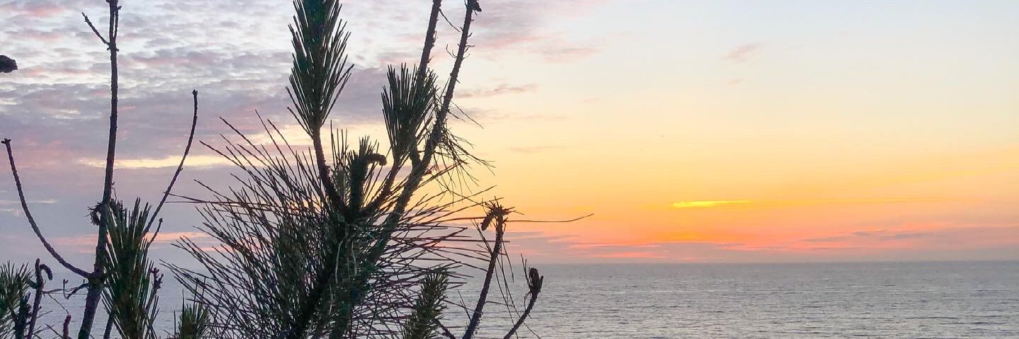 Rebecasm__'s profile banner image