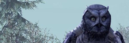Kraulerfast's profile banner image