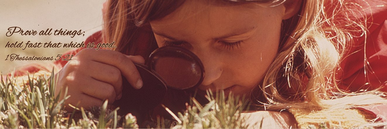 theplsbook's profile banner image