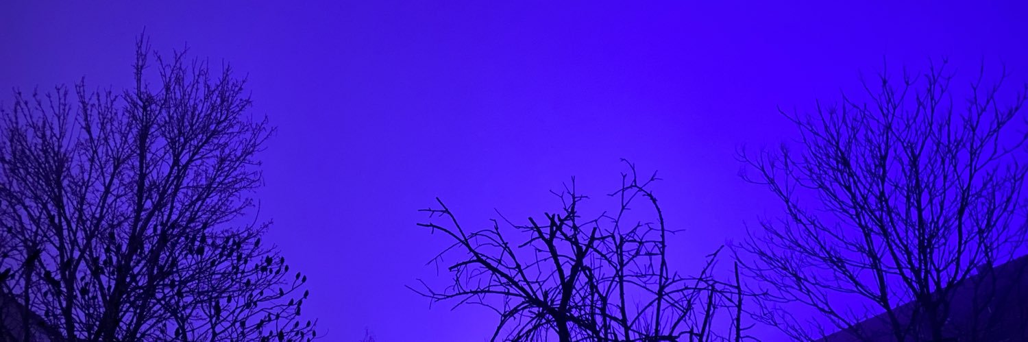 chocapopsps's profile banner image