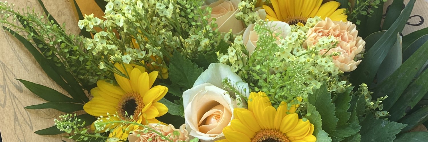 metlanid's profile banner image