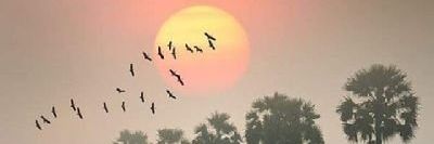 ☞sonu banner