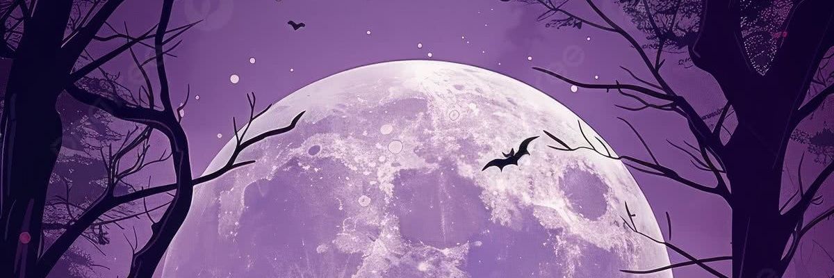 _Evalexia_'s profile banner image