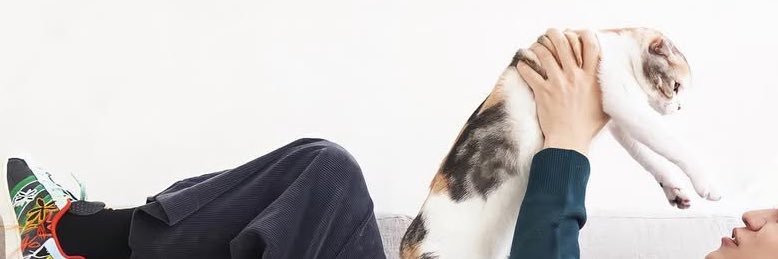 _K0701S's profile banner image