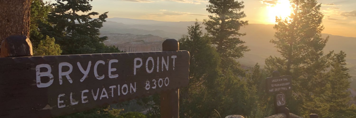 AllisonMau's profile banner image