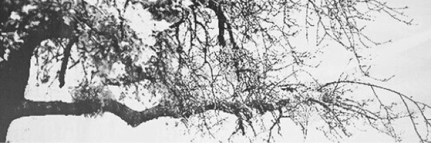 i3tem's profile banner image