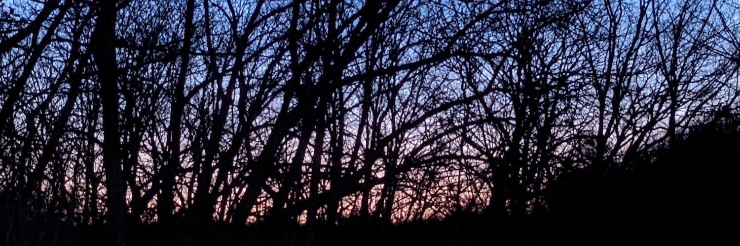 dlaf123's profile banner image