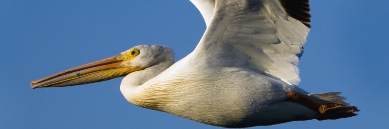 yeroc011's profile banner image