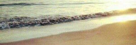 AliceCurb's profile banner image
