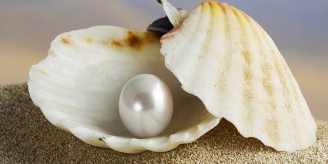 78n_nida's profile banner image
