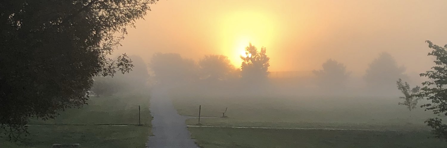 Dandamedic's profile banner image