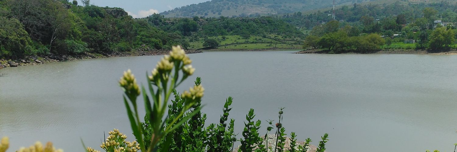 YarinIbarra's profile banner image