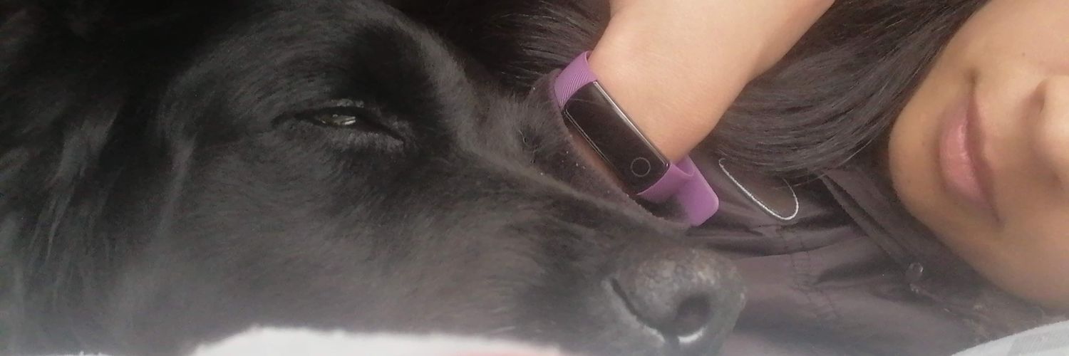 paosierralopez's profile banner image